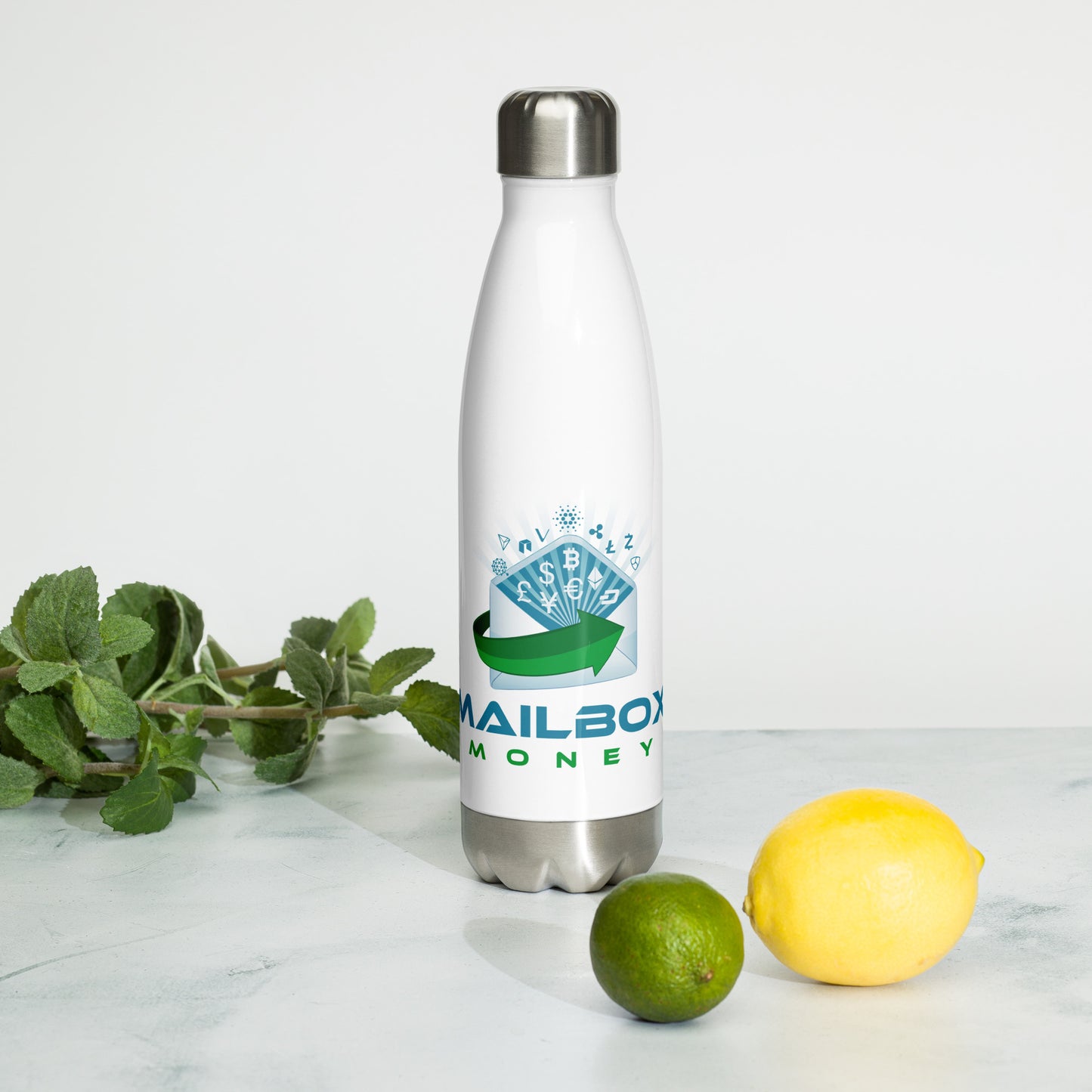 Mailbox Money Stainless Steel Water Bottle